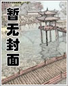 帝国将军小说